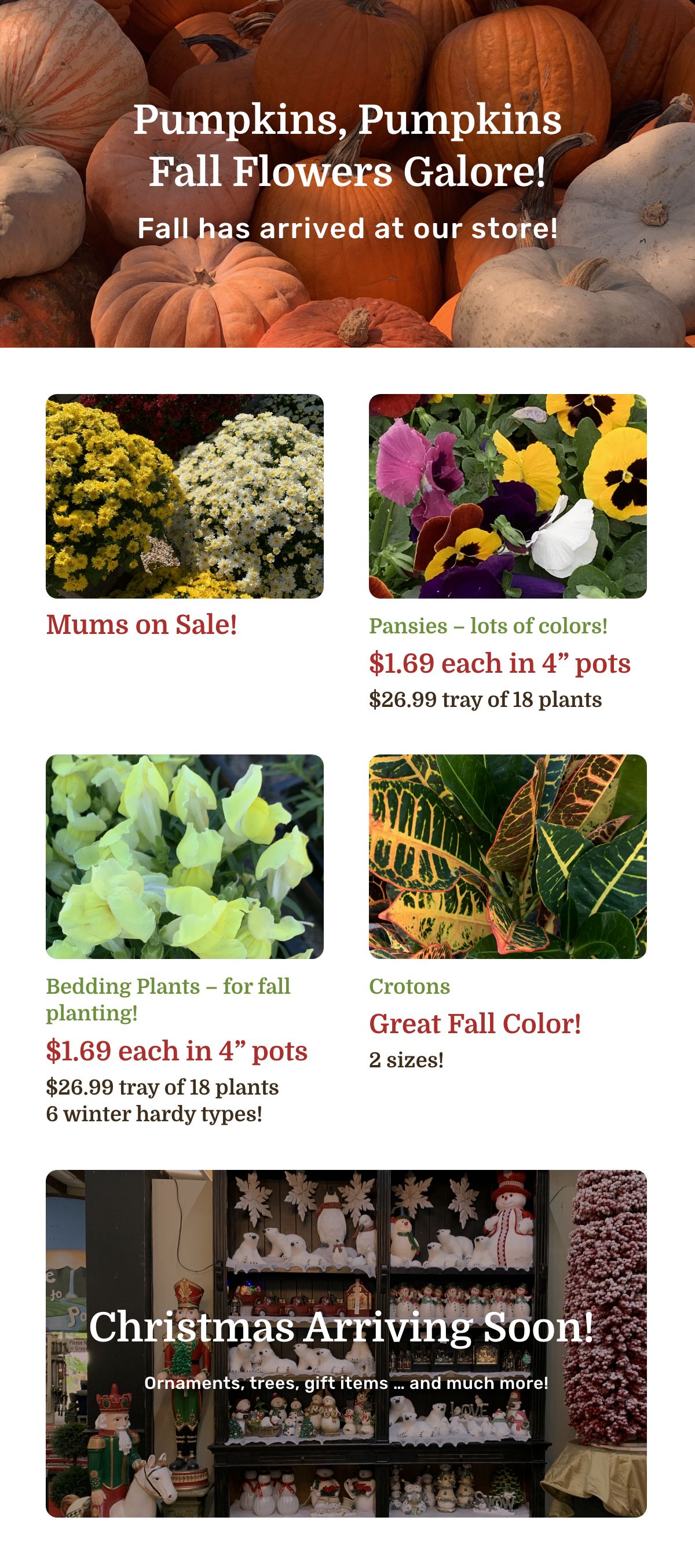 Fall Sale 2025 flyer