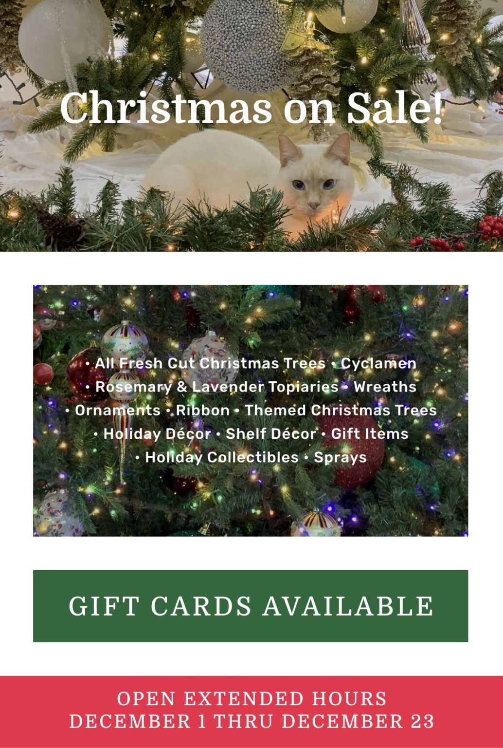 Christmas on Sale 2025 flyer