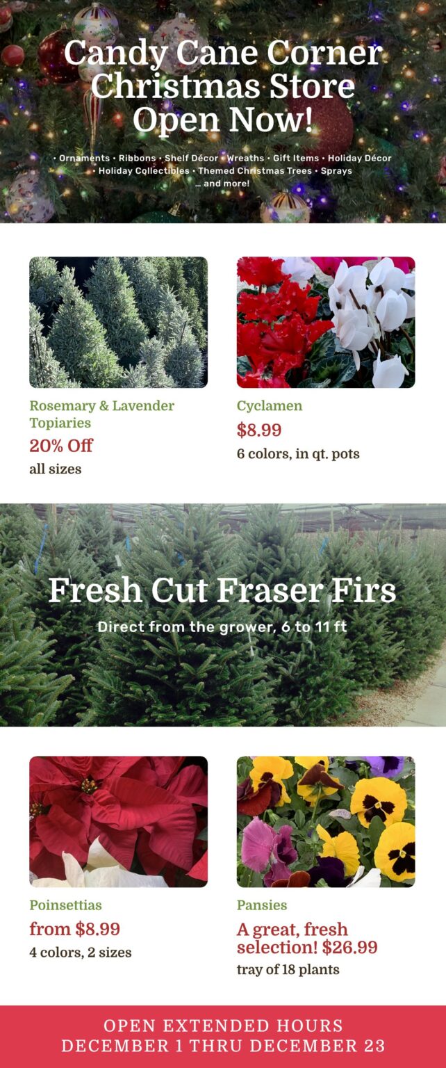 Come See the Reason We Love the Season 2025 flyer