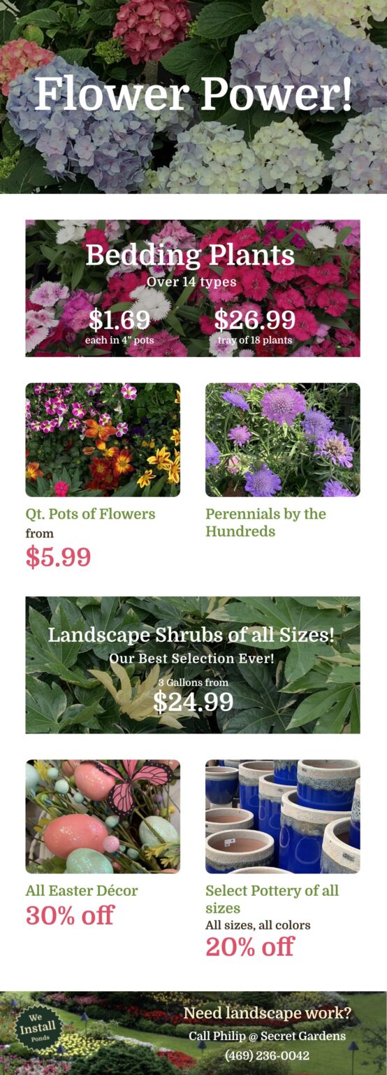 Flower-Power-A-Terrific-Selection-Storewide-flyer