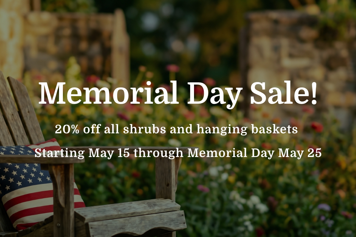 Memorial Day 2026 Sale