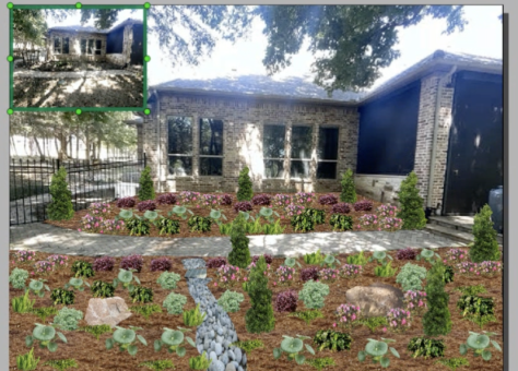 A 3D landscape rendering beside the finished yard it became